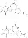 Fig. 42 - NEUROTROPHIN MIMETICS AND USES THEREOF