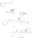 Fig. 68 - NEUROTROPHIN MIMETICS AND USES THEREOF