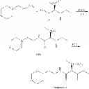 Fig. 71 - NEUROTROPHIN MIMETICS AND USES THEREOF