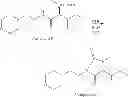 Fig. 72 - NEUROTROPHIN MIMETICS AND USES THEREOF