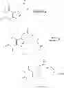 Fig. 88 - NEUROTROPHIN MIMETICS AND USES THEREOF