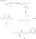 Fig. 97 - NEUROTROPHIN MIMETICS AND USES THEREOF
