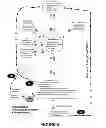 Fig. 08 - DRUG DETOXIFICATION PROTOCOL USING MICRODOSING