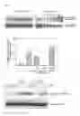 Fig. 02 - Novel Heterocyclic Compounds as Modulators of Sphingolipid Signaling and Uses Thereof