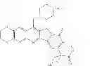 Fig. 09 - METHODS FOR TREATING DEGENERATIVE DISEASES/INJURIES