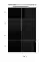 Fig. 04 - Methods and Compositions for Maintaining Blood-Brain Barrier Integrity