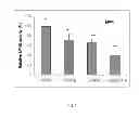 Fig. 06 - Methods and Compositions for Maintaining Blood-Brain Barrier Integrity