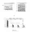 Fig. 07 - Methods and Compositions for Maintaining Blood-Brain Barrier Integrity