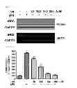 Fig. 04 - COMPOSITION FOR PREVENTING OR TREATING INFLAMMATORY DISEASES COMPRISING VERATRIC ACID AS EFFECTIVE COMPONENT