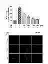 Fig. 08 - COMPOSITION FOR PREVENTING OR TREATING INFLAMMATORY DISEASES COMPRISING VERATRIC ACID AS EFFECTIVE COMPONENT