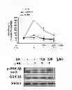 Fig. 11 - COMPOSITION FOR PREVENTING OR TREATING INFLAMMATORY DISEASES COMPRISING VERATRIC ACID AS EFFECTIVE COMPONENT