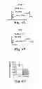 Fig. 07 - Methods and compositions for treating mammalian nerve tissue injuries