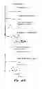 Fig. 35 - Methods and compositions for treating mammalian nerve tissue injuries