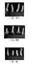 Fig. 02 - Composition for sealing a colorant to a surface and/or for protecting a surface
