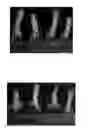 Fig. 01 - Composition for sealing a colorant to a surface and/or for protecting a surface