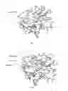 Fig. 04 - Method for the Enzyme-Catalysed Hydrolysis of Polyacrylic Acid Esters, and Esterases Used Therefor