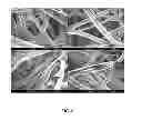 Fig. 07 - Soybean based fibers