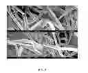 Fig. 08 - Soybean based fibers