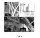 Fig. 09 - Soybean based fibers