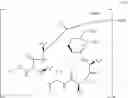 Fig. 12 - Aldehyde acetal based processes for the manufacture of macrocyclic depsipeptides and new intermediates