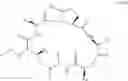 Fig. 43 - Aldehyde acetal based processes for the manufacture of macrocyclic depsipeptides and new intermediates