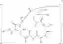 Fig. 65 - Aldehyde acetal based processes for the manufacture of macrocyclic depsipeptides and new intermediates