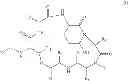 Fig. 05 - Solution phase processes for the manufacture of macrocyclic depsipeptides and new intermediates