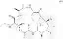 Fig. 06 - Solution phase processes for the manufacture of macrocyclic depsipeptides and new intermediates