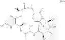 Fig. 10 - Solution phase processes for the manufacture of macrocyclic depsipeptides and new intermediates