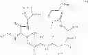 Fig. 13 - Solution phase processes for the manufacture of macrocyclic depsipeptides and new intermediates