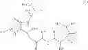 Fig. 15 - Solution phase processes for the manufacture of macrocyclic depsipeptides and new intermediates