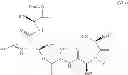 Fig. 16 - Solution phase processes for the manufacture of macrocyclic depsipeptides and new intermediates