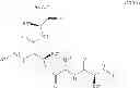 Fig. 30 - Solution phase processes for the manufacture of macrocyclic depsipeptides and new intermediates