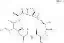 Fig. 61 - Solution phase processes for the manufacture of macrocyclic depsipeptides and new intermediates