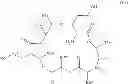 Fig. 76 - Solution phase processes for the manufacture of macrocyclic depsipeptides and new intermediates