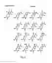Fig. 06 - Compositions containing, methods involving, and uses of non-natural amino acids and polypeptides