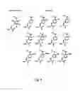 Fig. 07 - Compositions containing, methods involving, and uses of non-natural amino acids and polypeptides
