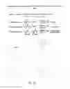 Fig. 33 - Compositions containing, methods involving, and uses of non-natural amino acids and polypeptides