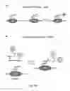 Fig. 40 - Compositions containing, methods involving, and uses of non-natural amino acids and polypeptides