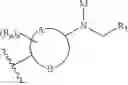 Fig. 80 - Compositions containing, methods involving, and uses of non-natural amino acids and polypeptides