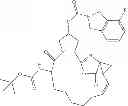 Fig. 18 - Compounds Useful For Making HCV Protease Inhibitors
