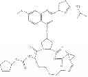 Fig. 24 - Compounds Useful For Making HCV Protease Inhibitors