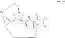 Fig. 37 - Compounds Useful For Making HCV Protease Inhibitors