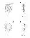 Fig. 07 - Dynamic multi-layer therapeutic magnetic device