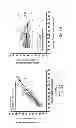 Fig. 09 - System and method for imaging of the vascular components with temporal information and suppressed blood pools using magnetic resonance imaging