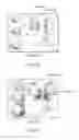 Fig. 08 - Ultrasonic diagnostic apparatus, medical image processing apparatus, and medical image processing method