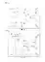Fig. 16 - System and method to facilitate analysis of brain injuries and disorders