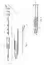 Fig. 03 - Ophthalmic surgical instrument with pre-set tip-to-shell orientation