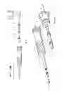 Fig. 04 - Ophthalmic surgical instrument with pre-set tip-to-shell orientation