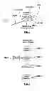 Fig. 06 - CATHETER DISCRIMINATION AND GUIDANCE SYSTEM